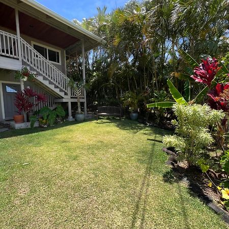 Private Ohana On The Lush Hamakua Coast With Ac Honokaa Exterior photo