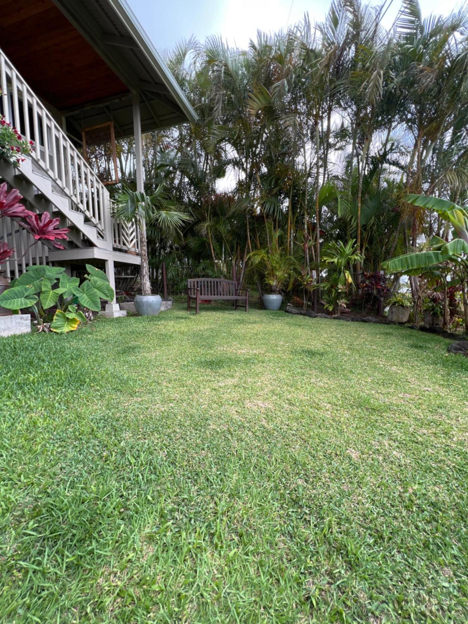 Private Ohana On The Lush Hamakua Coast With Ac Honokaa Exterior photo